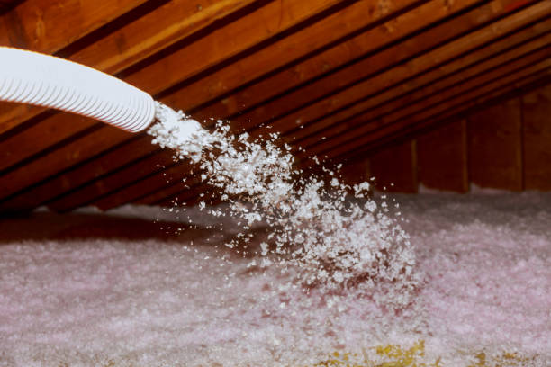 Best Insulation for New Construction  in Tyler, TX