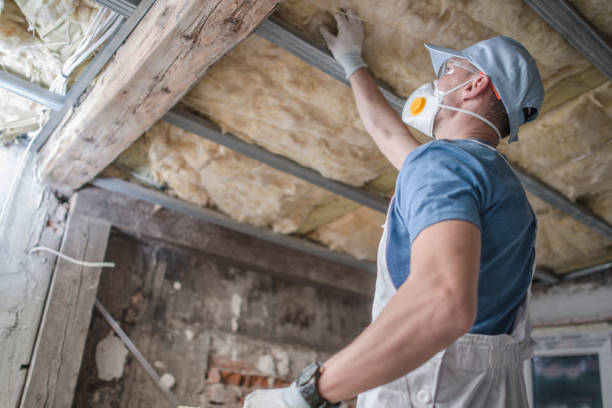 Best Attic Insulation Installation  in Tyler, TX