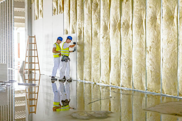 Best Spray Foam Insulation  in Tyler, TX